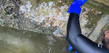 Boca Raton, FL Barnacle Removal